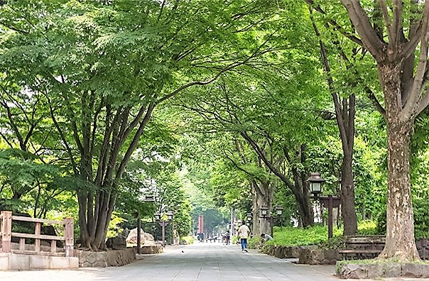 公園　氷川緑地（公園）まで637m