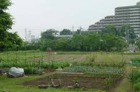 公園　山久保自然緑地（公園）まで1299m