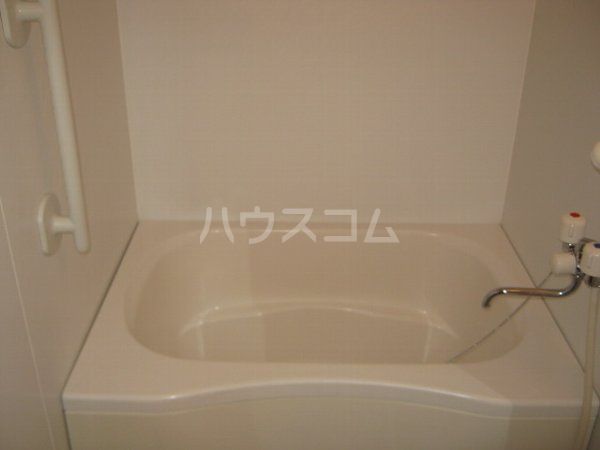セントポーリア・サウスのその他写真