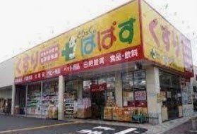 ドラックストア　どらっぐぱぱす赤塚新町店（ドラッグストア）まで480m
