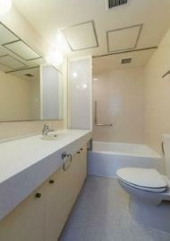麻布テラスアパートメントのトイレ写真