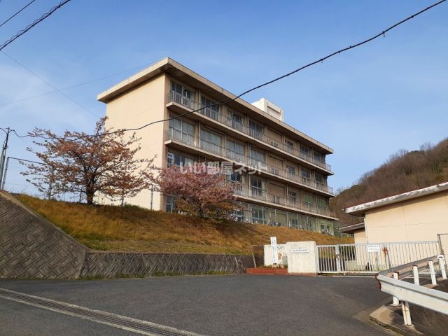 小学校　福山市立野々浜小学校（小学校）まで671m