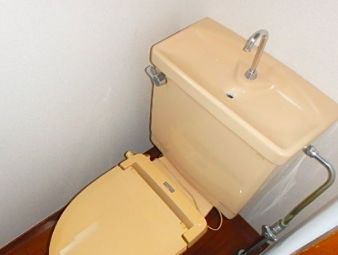トイレ　トイレも気になるポイント