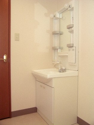 洗面設備　シャワードレッサー付きです！