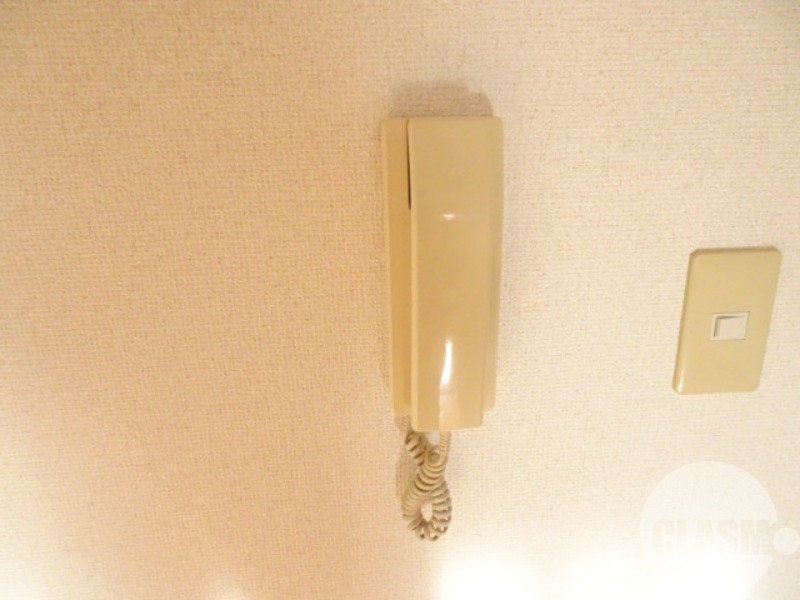 セキュリティ　インターホン