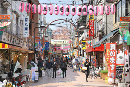 ショッピングセンター　染井銀座商店街（ショッピングセンター）まで378m