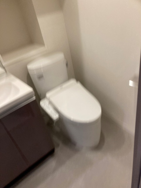 トイレ　※写真は同タイプ住戸です。