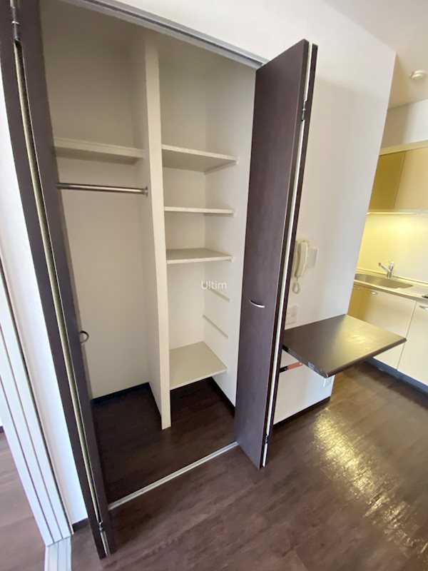 収納　※同タイプの他のお部屋です
