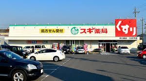 ドラックストア　スギ薬局野立橋店（ドラッグストア）まで652m