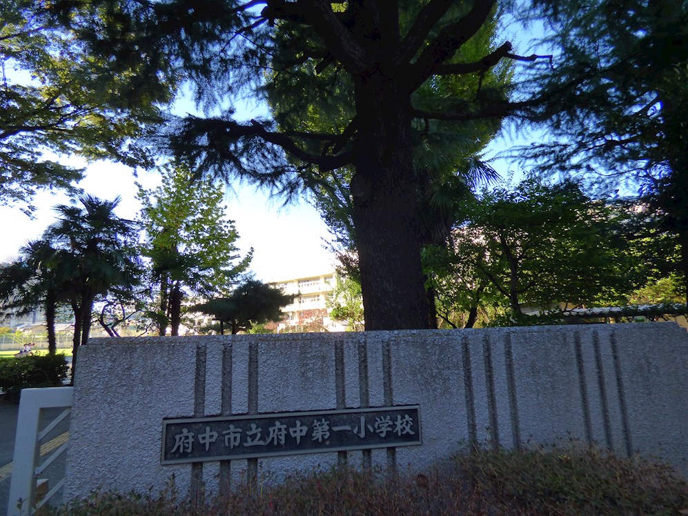 小学校　府中市立府中第一小学校（小学校）まで383m