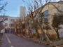 中学校　芦屋市立潮見中学校（中学校）まで929m