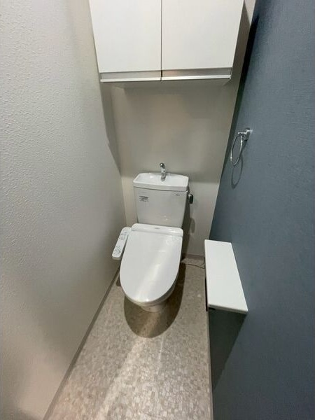エヌエム・サンカンテ・キャトフ・B棟のトイレ写真