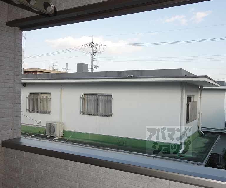 フィアクローバーのその他写真