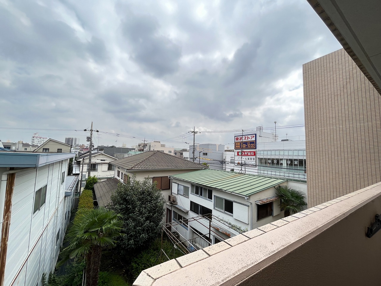 オリーブのその他写真
