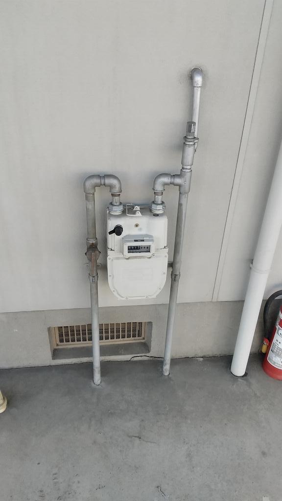 ミースムーンのその他写真