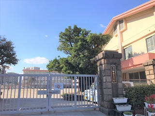 小学校　鹿児島市立城南小学校（小学校）まで735m