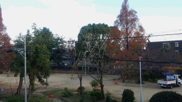 眺望　目の前公園です