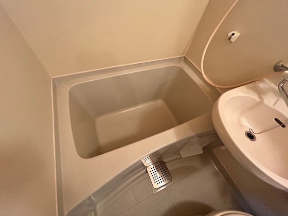 バス・シャワールーム　※別部屋の写真です