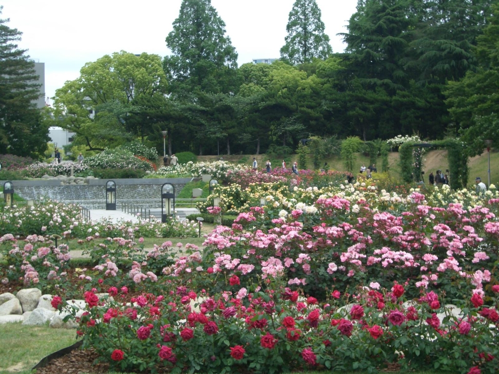 公園　靱公園（公園）まで512m