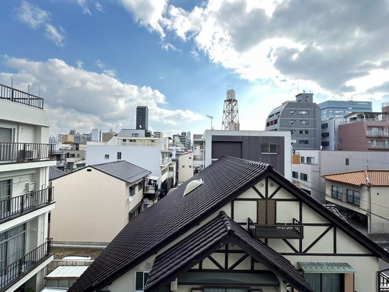 眺望　※別部屋の写真です