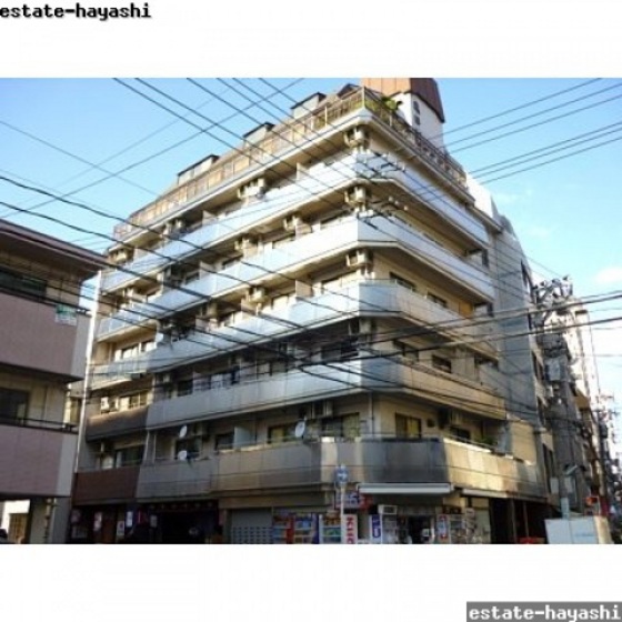 眺望　※他部屋の写真です。