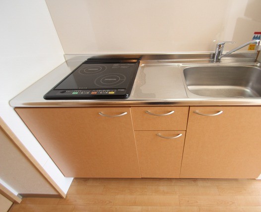 キッチン　同物件、別号室のものです。