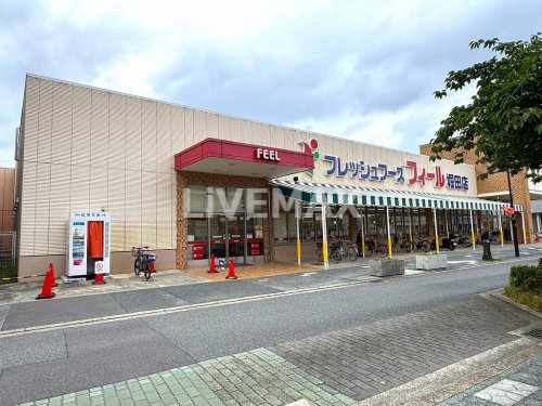 スーパー　フィール 堀田店（スーパー）まで392m