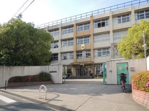 小学校　東大阪市立桜橋小学校（小学校）まで479m