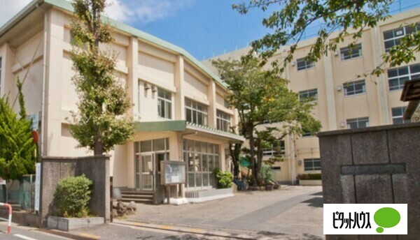 小学校　市川市立信篤小学校（小学校）まで370m