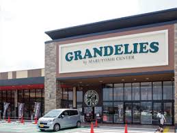 スーパー　グランデリーズ飯山店（スーパー）まで3305m