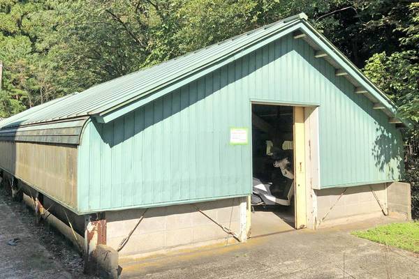 その他　駐輪場（その他）まで50m