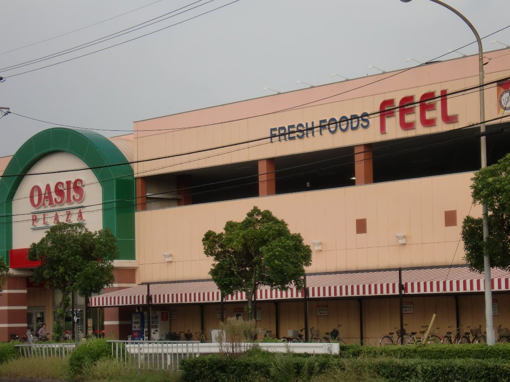 その他　フィールオアシスプラザ（その他）まで1061m