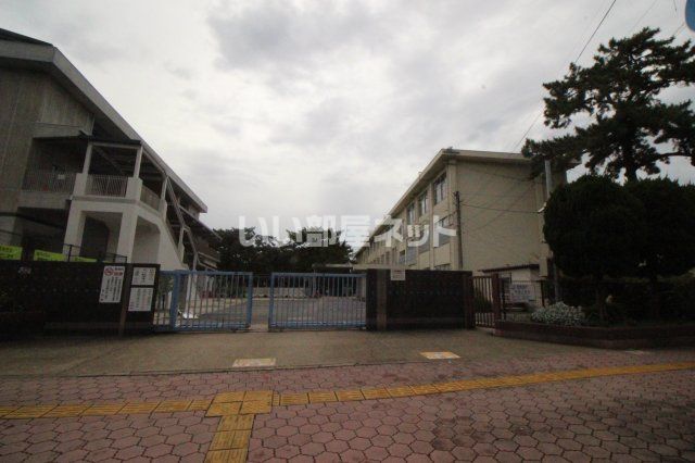 小学校　福岡市立百道小学校（小学校）まで890m