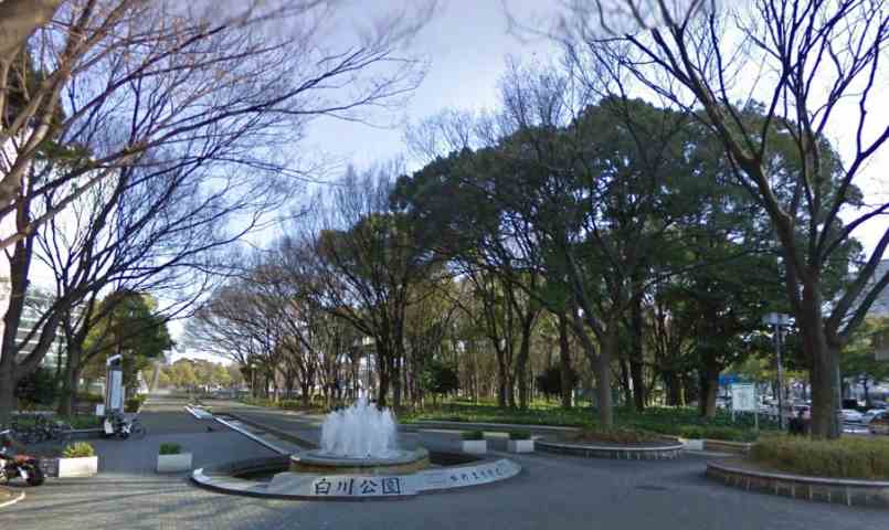 公園　白川公園（公園）まで428m