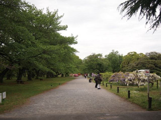 その他　小石川植物園（その他）まで1042m