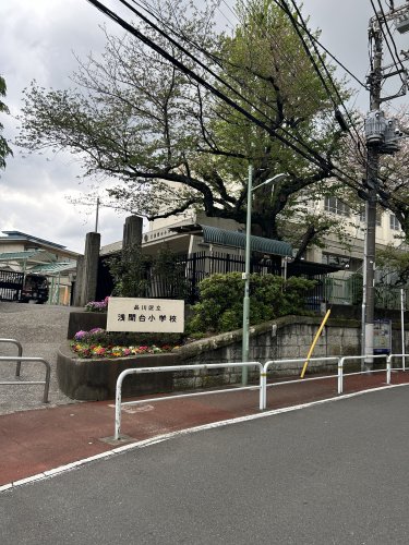 小学校　品川区立浅間台小学校（小学校）まで538m