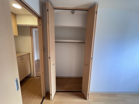収納　※別部屋の写真です