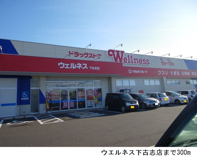 ドラックストア　ウエルネス下古志店（ドラッグストア）まで300m