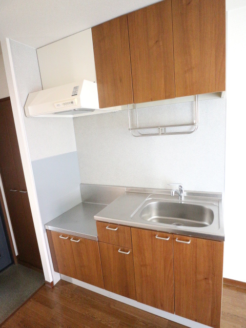 キッチン　他号室写真です