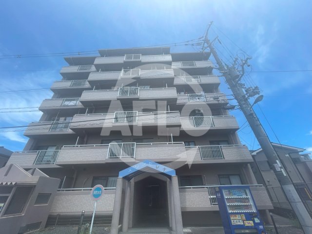 建物外観　メゾンセレナ　外観