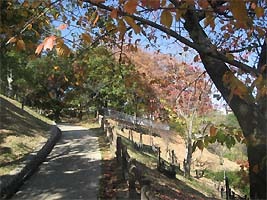 公園　西山公園（公園）まで545m