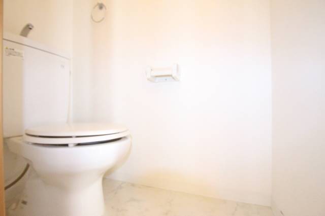 トイレ　清潔感のある色合い