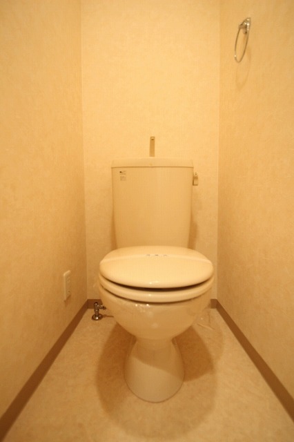 トイレ　同物件別号室のものです。