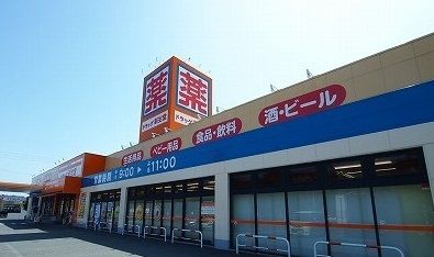 ドラックストア　ドラック新生堂（ドラッグストア）まで1100m