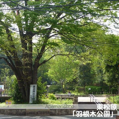 公園　羽根木公園（公園）まで320m