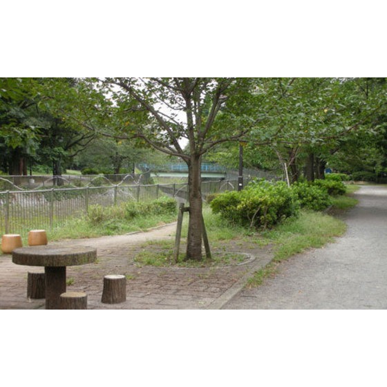 公園　善福寺二丁目緑地（公園）まで583m