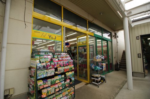 ホームセンター　ホームプラザY&J（ホームセンター）まで831m