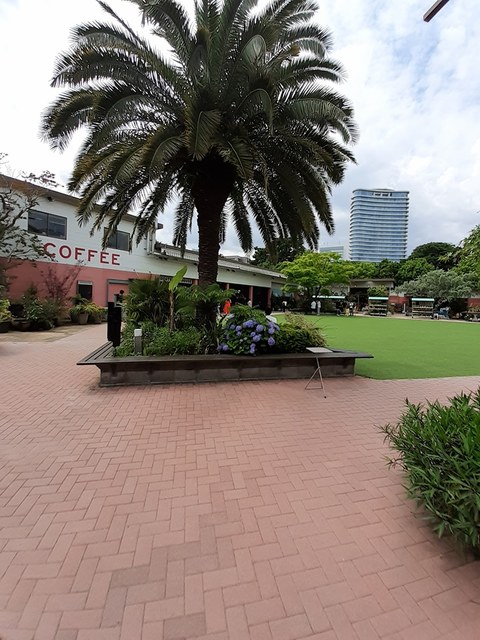 ショッピングセンター　SHARE GREEN（ショッピングセンター）まで512m