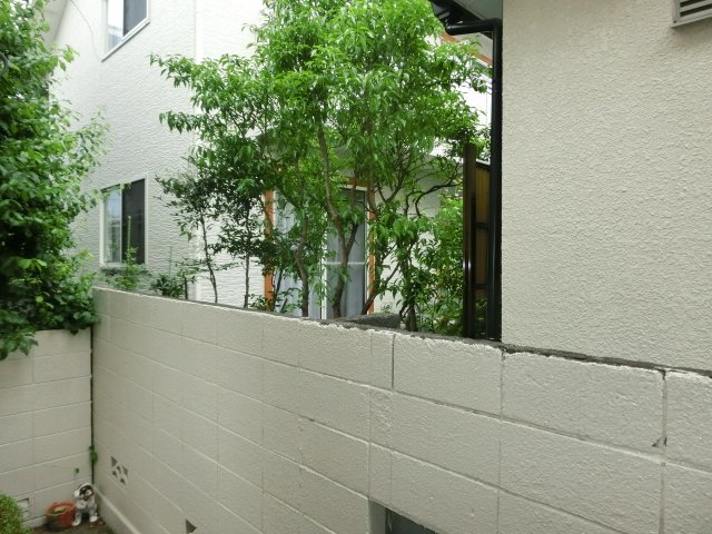 眺望　１階からの眺望。