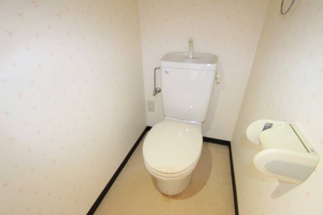 トイレ　清潔感のある色合いです